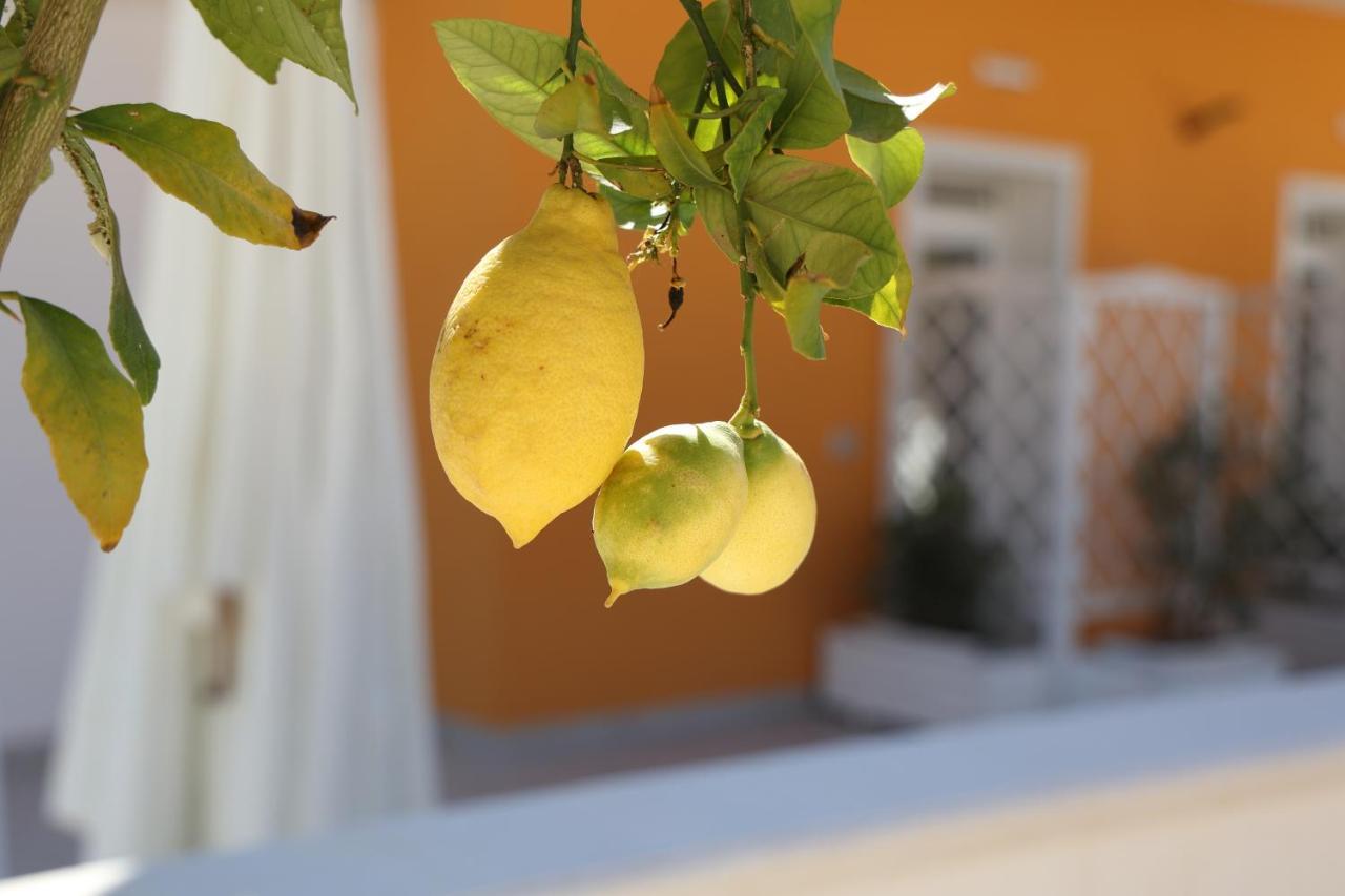 אגריג'נטו Casa Vacanze Il Gigante Comfort A Due Passi Dalla Valle Dei Templi מראה חיצוני תמונה